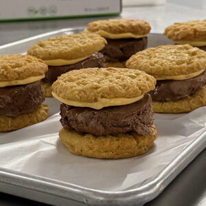 orange chocolate dreamwich