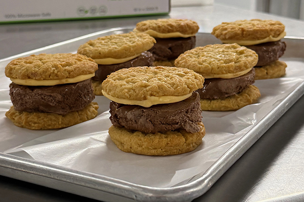 orange chocolate dreamwich